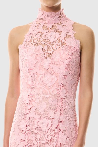 Blush Lace Mermaid GownEvening DressesPinkS(2)Luxe Lane